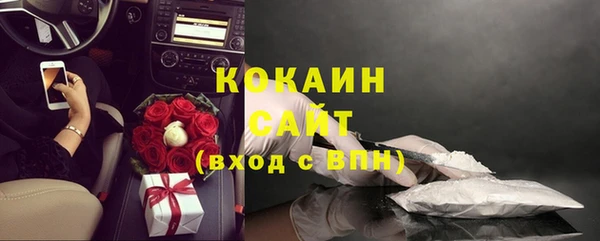 дурь Богородицк