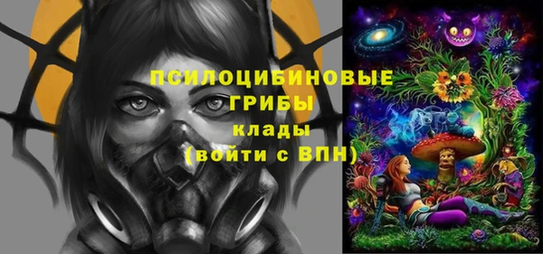 дурь Богородицк