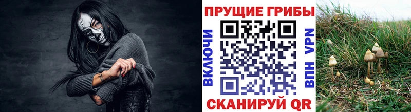 Купить закладки  Ивантеевка  Псилоцибиновые грибы ЛСД 